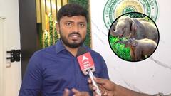 Chittore DFO About Elephant Census | ఏనుగుల గణన గురించి చిత్తూరు డీఎఫ్‌వో ఏమన్నారు?