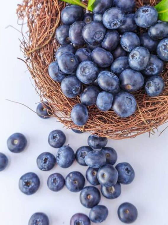 जामुन नमक के साथ खाना चाहिए या बिना नमक के