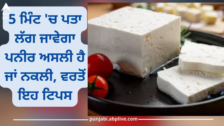 5 easy home tips to verify authenticity of your paneer read on one click Check Real And Fake Paneer: ਬਾਜ਼ਾਰਾਂ 'ਚ ਧੜੱਲੇ ਨਾਲ ਵਿੱਕ ਰਿਹਾ ਨਕਲੀ ਪਨੀਰ, ਖਰੀਦਣ ਤੋਂ ਪਹਿਲਾਂ ਵਰਤੋਂ ਇਹ ਟਿਪਸ, 5 ਮਿੰਟ 'ਚ ਪਤਾ ਲੱਗ ਜਾਵੇਗਾ ਅਸਲੀ ਹੈ ਜਾਂ ਨਕਲੀ