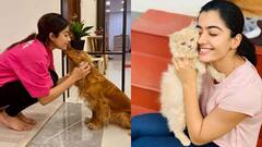 Rashmika Mandanna: పెట్స్ తో రష్మిక ఆటలు- చూస్తే ఎంత మద్దొస్తున్నాయో!