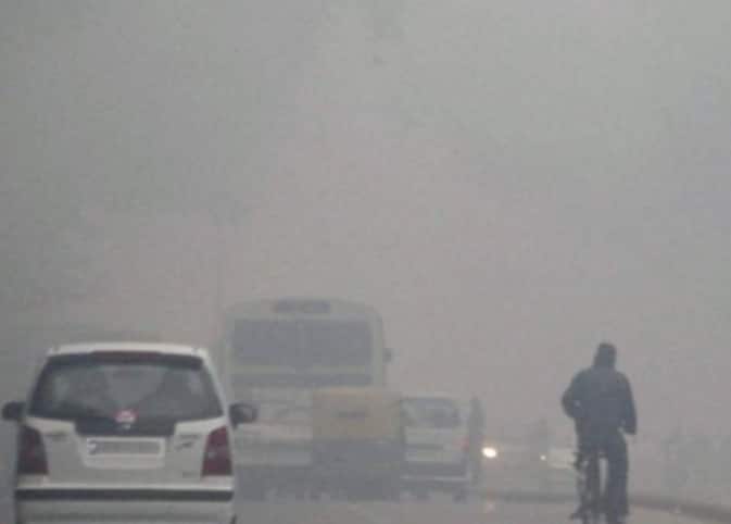 राज्यातील वातावरणात सातत्यानं बदल (Climate change) होत आहे. कुठं उन्हाचा चटका जाणवत आहे.