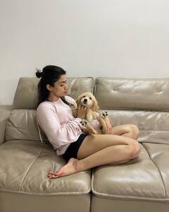 Rashmika Mandanna: పెట్స్ తో రష్మిక ఆటలు- చూస్తే ఎంత మద్దొస్తున్నాయో!