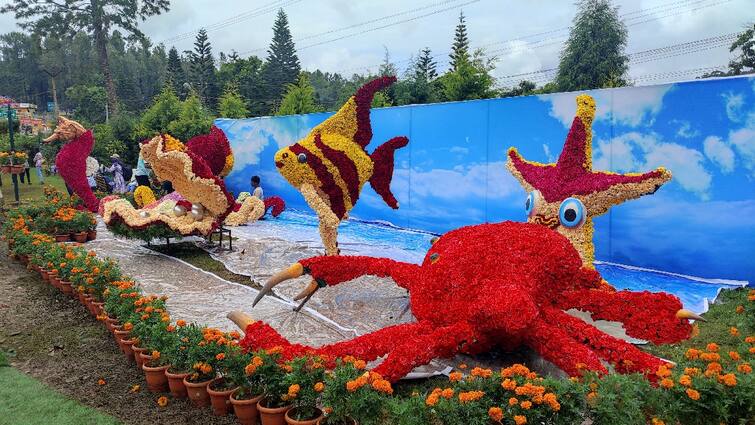 Yercaud flower exhibition is coming up and has been extended till 30th - TNN சுற்றுலா பயணிகளுக்கு ஹேப்பி நியூஸ்; ஏற்காடு மலர்க்கண்காட்சி 4 நாட்களுக்கு நீட்டிப்பு