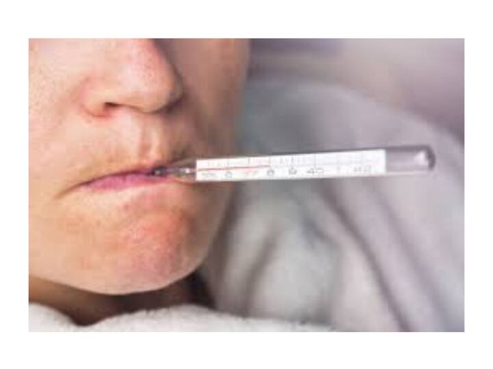 ਪਾਰਾ ਇੱਕ ਕੁਦਰਤੀ ਤੱਤ ਹੈ ਜੋ ਧਰਤੀ ਵਿੱਚ ਚੱਟਾਨਾਂ ਅਤੇ ਕੋਲੇ ਦੇ ਭੰਡਾਰਾਂ ਵਿੱਚ ਪਾਇਆ ਜਾਂਦਾ ਹੈ। ਰਸਾਇਣ ਵਿਗਿਆਨ ਦੀ ਭਾਸ਼ਾ ਵਿੱਚ, ਇਸਨੂੰ 'Hg' ਵਜੋਂ ਦਰਸਾਇਆ ਗਿਆ ਹੈ ਅਤੇ ਇਸਦਾ ਪਰਮਾਣੂ ਸੰਖਿਆ 80 ਹੈ। ਇਹ ਪਾਰਾ ਮੁੱਖ ਤੌਰ 'ਤੇ ਤਿੰਨ ਕਿਸਮਾਂ ਦਾ ਹੁੰਦਾ ਹੈ: ਸਾਧਾਰਨ (ਧਾਤੂ) ਪਾਰਾ, ਅਕਾਰਬਨਿਕ ਪਾਰਾ ਮਿਸ਼ਰਣ (ਜਿਸ ਵਿੱਚ ਕਾਰਬਨ ਨਹੀਂ ਹੁੰਦਾ) ਅਤੇ ਮਿਥਾਈਲਮਰਕਰੀ ਅਤੇ ਹੋਰ ਕਾਰਬਨਿਕ ਮਿਸ਼ਰਣ (ਜਿਸ ਵਿੱਚ ਕਾਰਬਨ ਹੁੰਦਾ ਹੈ)।