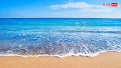 बीच पर अपने बच्चों को घुमाने लेकर पहुंची महिला पर लगा 73 लाख का जुर्माना, यहां जानिए