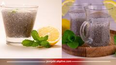 Summer Drink: ਪੁਦੀਨੇ, ਚੀਆ ਸੀਡਜ਼ ਅਤੇ ਨਿੰਬੂ ਤੋਂ ਬਣੀ ਇਹ ਡਰਿੰਕ ਸਿਹਤ ਲਈ ਫਾਇਦੇਮੰਦ, ਜਾਣੋ ਇਸ ਦੀ ਰੈਸਿਪੀ