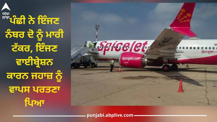 bird strikes on spicejet flight engine plane returned delhi with panicked 135 passengers SpiceJet flight: ਸਪਾਈਸ ਜੈੱਟ ਦੀ ਉਡਾਣ ਦੇ ਇੰਜਣ ਨਾਲ ਟਕਰਾਇਆ ਪੰਛੀ, ਘਬਰਾਏ 135 ਯਾਤਰੀ, ਵਾਪਸ ਮੁੜਨਾ ਪਿਆ ਦਿੱਲੀ