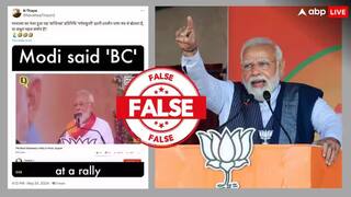 Election Fact Check: શું પીએમ મોદીએ ચૂંટણીસભા દરમિયાન કહ્યા અપશબ્દો? જાણો વાયરલ વીડિયોની સત્યતા