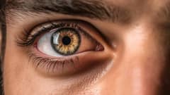 चील या इंसान... कौन ज्यादा दूर तक देख सकता है?