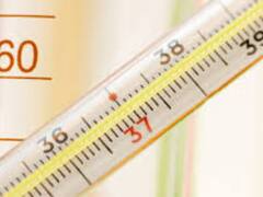 ਡਾਕਟਰੀ ਇਲਾਜ 'ਚ ਇਸਤੇਮਾਲ ਹੋਣ ਵਾਲਾ ਪਾਰਾ ਮਨੁੱਖ ਅਤੇ ਵਾਤਾਵਰਨ ਦੋਵਾਂ ਲਈ ਹੈ ਖਤਰਨਾਕ