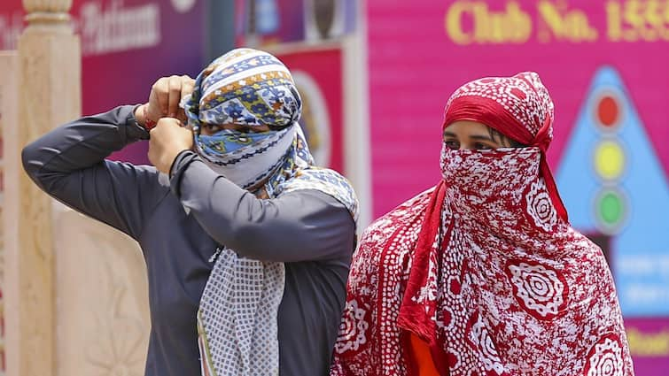 Heatwave Claims 2 Lives In Rajasthan, Phalodi At 50°C Information India’s Highest Temp Since 2019