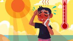 Heat Wave: ગરમી વધી... દિવસે જ નહીં રાત્રે પણ આવી શકે છે હીટ સ્ટ્રૉક, સ્ટડીમાં થયો ખુલાસો