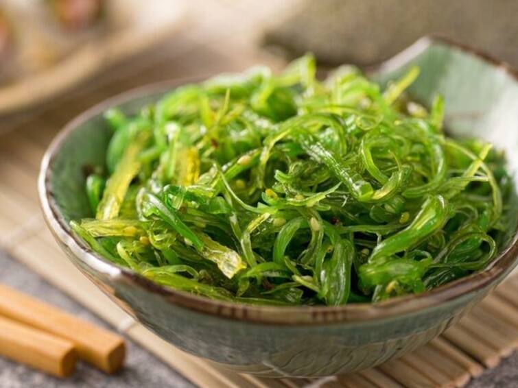 Seaweed Benefits This seaweed can eradicate many diseases know eating benefits Seaweed Benefits: ਕਈ ਬਿਮਾਰੀਆਂ ਨੂੰ ਜੜ੍ਹੋਂ ਖ਼ਤਮ ਕਰ ਸਕਦੀ ਹੈ ਇਹ ਸਮੁੰਦਰੀ ਘਾਹ, ਜਾਣੋ ਇਸ ਨੂੰ ਖਾਣ ਦੇ ਲਾਭ