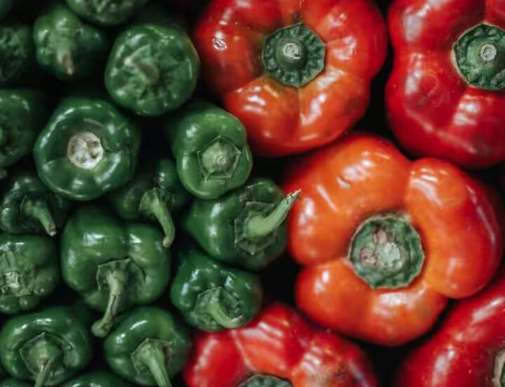 ਕਿਸਾਨ ਘੱਟ ਸਮੇਂ ਵਿੱਚ ਸ਼ਿਮਲਾ ਮਿਰਚ ਦੀ ਕਾਸ਼ਤ ਕਰਕੇ ਵੱਧ ਮੁਨਾਫਾ ਕਮਾ ਸਕਦੇ ਹਨ।