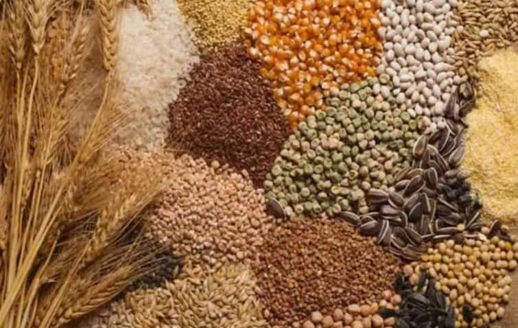 Government has set a target of 340.40 million tonnes of food grain production for the crop year 2024-25 देशात अन्नधान्याचं उत्पादन किती होणार? कोणत्या पिकाचं सरकारनं किती ठेवलं उद्दीष्ट