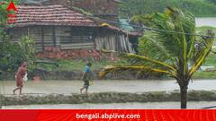 Cyclone Remal Aftermath:জলের তলায় কলকাতার উত্তর থেকে দক্ষিণ, রাজ্যের কোথায় কী প্রভাব 'রেমাল'-র?