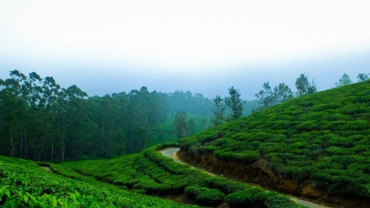 Travel : जून महिन्यात मिळेल 'हिमस्वर्गाचा' अनुभव! उन्हाळ्यात गरमीपासून दिलासा हवा, तर भारतातील 5 हिल स्टेशन्स जाणून घ्या..