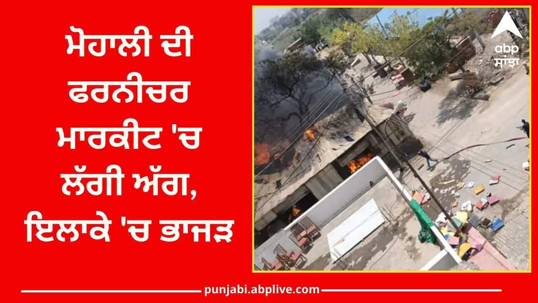 Fire broke out in Mohalis furniture market Fire broke out: ਮੋਹਾਲੀ ਦੀ ਫਰਨੀਚਰ ਮਾਰਕੀਟ 'ਚ ਲੱਗੀ ਅੱਗ, ਇਲਾਕੇ 'ਚ ਭਾਜੜ