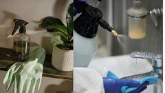 DIY Cleaning Powder: இந்த ஒரு பவுடர் போதும்; வீடு நன்றாக சுத்தமாகிடும் - எப்படி செய்வது?