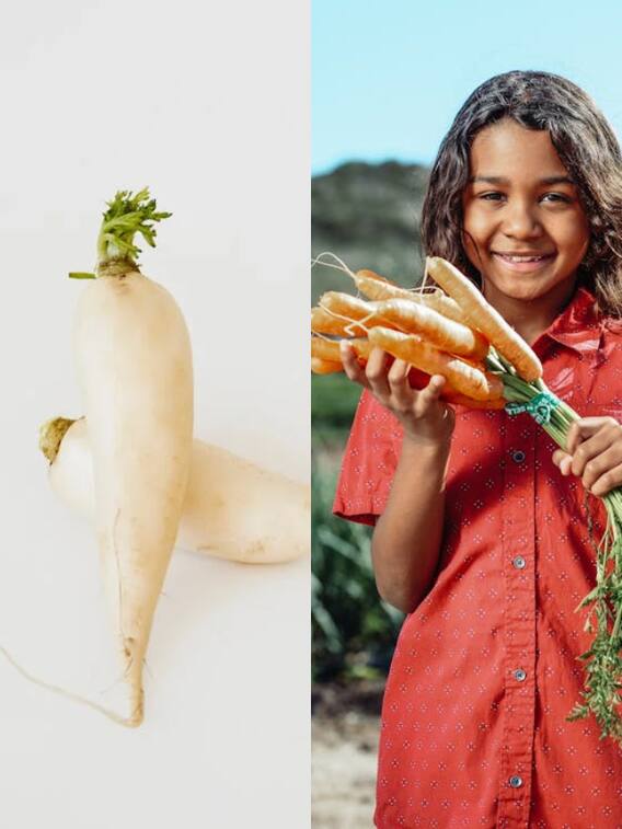 मूली सफेद तो गाजर लाल क्यों होती है?