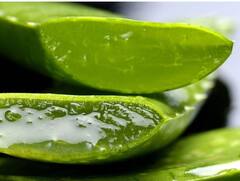 Skin Care Tips: ਨਹਾਉਣ ਤੋਂ ਤੁਰੰਤ ਬਾਅਦ ਚਿਹਰੇ 'ਤੇ ਲਗਾਓ ਇਹ ਚੀਜ਼, ਨਹੀਂ ਪਵੇਗੀ ਮਾਇਸਚਰਾਈਜ਼ਰ ਦੀ ਜ਼ਰੂਰਤ