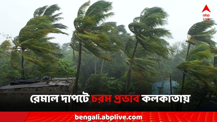 West Bengal Cyclone Remal Updates after effect Kolkata tree broke Building Succumed Cyclone Remal Updates: ঘূর্ণিঝড় রেমালে প্রভাবিত তিলোত্তমাও, ভাঙল গাছ, হেলল বাড়ি