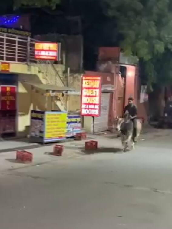 कार, बाइक नहीं... इस लड़के का वाहन देख हैरान रह जाएंगे!