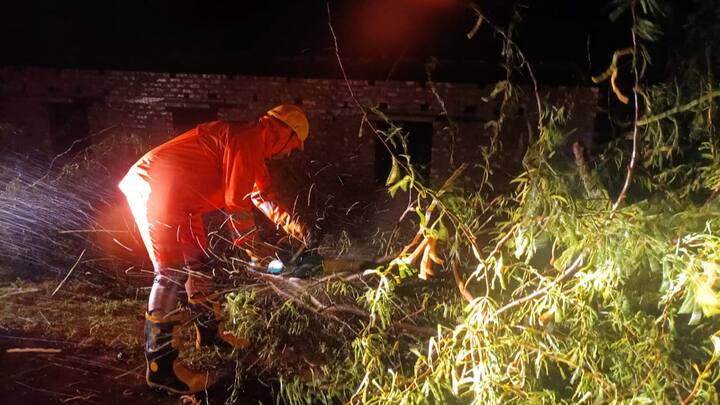 An NDRF member removes a tree uprooted by Cyclone Remal from a road in South 24 Parganas district. The cyclone tore through the state and neighbouring Bangladesh with wind speeds reaching 135 km per hour. (Photo: PTI)