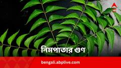 Neem Leaves Benefits: নিমপাতা তেঁতো হোক, গুণে মিষ্টি; কীভাবে কখন খেলে উপকার ?