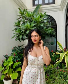 Malavika Mohanan: సెగలు పుట్టిస్తున్న మలయాళ సోయగం మాళవిక అందాలు - రాజాసాబ్ భామ లేటెస్ట్ ఫోటోలు చూశారా?
