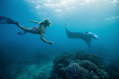 Visit Denarau Island to discover more marine life through snorkeling. (Image Source: Getty)