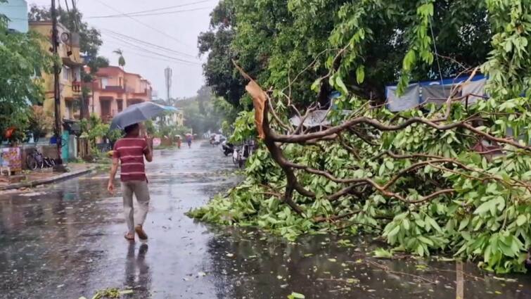Cyclone Remal Aftermath 4 Dead 3 Injured Kolkata West Bengal Bangladesh 9 Dead As Cyclone Remal Ravages West Bengal, Bangladesh