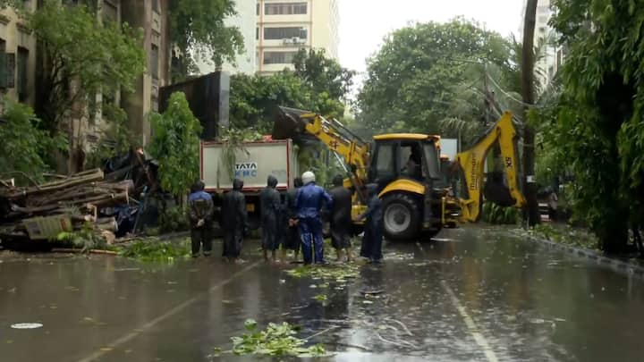 कोलकाता में सड़क से उखड़े पेड़ों को हटाते आपदा प्रतिक्रिया बल के जवान। सामान्य स्थिति बहाल करने के प्रयास जारी हैं, लेकिन लगातार हो रही भारी बारिश के कारण इन अभियानों में बाधा आ रही है। (फोटो: पीटीआई)