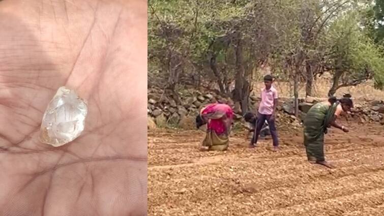 Diamond Hunt Grips Kurnool Villages Ahead of Monsoon Diamond Hunt Grips Andhra's Kurnool Villages Ahead of Monsoon