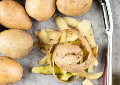 બટાકાની છાલ કેન્સર અને હાર્ટ એટેક જેવી જીવલેણ બીમારીઓથી બચાવી શકે છે, ફાયદા જાણીને તમને આશ્ચર્ય થશે