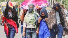 एमपी में जारी है गर्मी का सितम, IMD ने जारी किया 3 जिलों में रेड अलर्ट, 46 में येलो अलर्ट