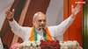 Lok Sabha Elections: अगर बन गई I.N.D.I.A सरकार, पहले से पांचवें साल तक क्या-क्या करेगी, अमित शाह ने बता दिया प्लान