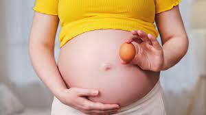 lifestyle read the health tips eggs benefits during pregnancy Pregnancy Diet: ગર્ભાવસ્થા દરમિયાન ઈંડા ખાવા ફાયદાકારક છે કે નુકસાન? જાણો આ સવાલનો જવાબ નિષ્ણાતો પાસેથી