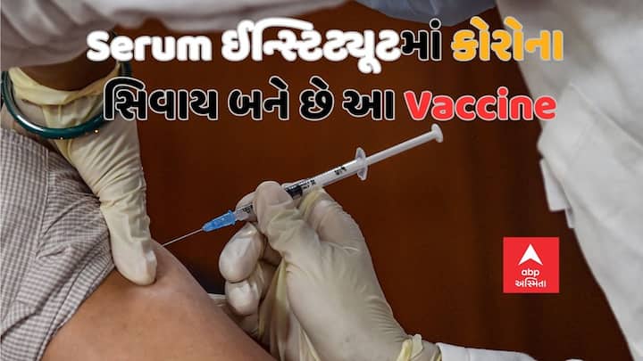 Vaccine: સીરમ ઈન્સ્ટિટ્યૂટ ઓફ ઈન્ડિયા વર્ષો જૂની કંપની છે. આજે આપણે જાણીશું કે કોવિડ સિવાય તે કયા રોગની રસી બનાવે છે.