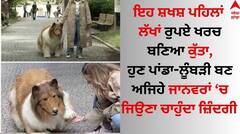 Japanese Man Toco Dog: ਲੱਖਾਂ ਰੁਪਏ ਖਰਚ ਕੁੱਤਾ ਬਣਿਆ ਇਹ ਸ਼ਖਸ਼, ਹੁਣ ਲੈਣਾ ਚਾਹੁੰਦਾ ਇਨ੍ਹਾਂ ਜਾਨਵਰਾਂ ਦਾ ਰੂਪ