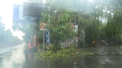 Cyclone Remal Effect:  রেমালের প্রভাবে প্রবল ঝড়-বৃষ্টি,  কলকাতা-সল্টলেকে গাছ ভেঙে বিপত্তি, হাঁটুজলে ভোগান্তি যাত্রীদের..