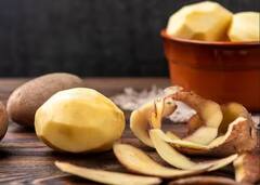 Health: ਹਾਰਟ ਅਟੈਕ ਅਤੇ ਕੈਂਸਰ ਵਰਗੀਆਂ ਬਿਮਾਰੀਆਂ ਤੋਂ ਛੁਟਕਾਰਾ ਦਿਵਾ ਸਕਦਾ ਆਲੂ ਦਾ ਛਿਲਕਾ, ਫਾਇਦੇ ਸੁਣ ਕੇ ਹੈਰਾਨ ਰਹਿ ਜਾਓਗੇ ਤੁਸੀਂ