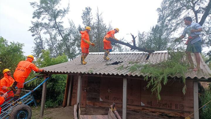 दक्षिण 24 परगना जिले में एक घर की छत से उखड़े हुए पेड़ को हटाते एनडीआरएफ के जवान। चक्रवात ने राज्य के तटीय इलाकों में तबाही मचाई है, जिससे बुनियादी ढांचे और संपत्ति को भारी नुकसान पहुंचा है। (फोटो: पीटीआई)