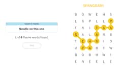 NYT Strands Answers For May 27: How To Play, Today’s Words, Spangram, Everything Else You Need To Know