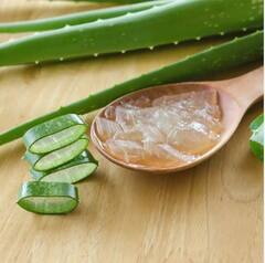 Skin Care Tips: ਨਹਾਉਣ ਤੋਂ ਤੁਰੰਤ ਬਾਅਦ ਚਿਹਰੇ 'ਤੇ ਲਗਾਓ ਇਹ ਚੀਜ਼, ਨਹੀਂ ਪਵੇਗੀ ਮਾਇਸਚਰਾਈਜ਼ਰ ਦੀ ਜ਼ਰੂਰਤ