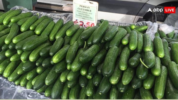 Cucumber Buying Tips: खीरा कड़वा निकल जाए तो पूरे मुंह का स्वाद बिगड़ जाता है. इसलिए हम आपको बताएंगे कुछ ऐसे तरीके जो आप दुकान पर खीरा खरीदते ही समझ जाएंगे खीरा कड़वा है या नहीं.