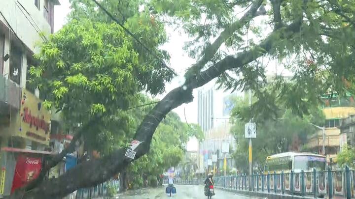 জেলায় জেলায় দুর্যোগ। ভেঙে পড়ল বহু গাছ। হেলে পড়ল সিগন্যাল পোস্ট। ছিঁড়ল বিদ্যুতের তার। হিঙ্গলগঞ্জে বাঁধ ভেঙে বিপত্তি।