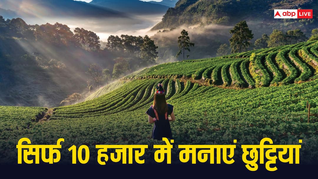 three budget friendly destinations Darjeeling Munnar Dharmshala for relief to beat the june heat in only 10 thousand rupees Travel Tips: जून की गर्मी से राहत चाहिए तो घूम सकते हैं ये तीन ठिकाने, सिर्फ 10 हजार रुपये आएगा खर्च