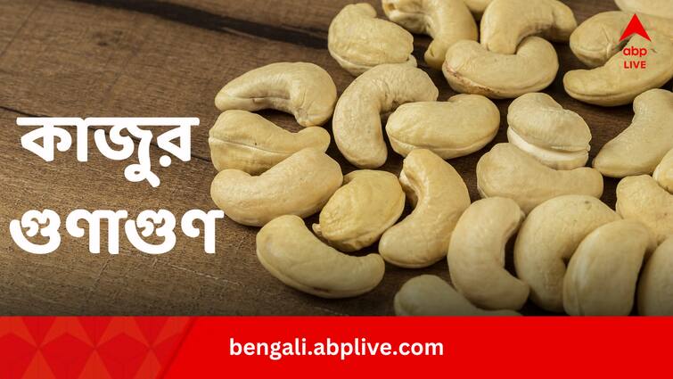 Cashew Nuts Top 12 Health Benefits Know How Many And When To Eat Cashew Nuts Benefits: সহজলভ্য কাজুতেই ঝরবে মেদ, শুধু জানতে হবে কখন কীভাবে খাবেন কতটা