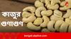Cashew Nuts Benefits: সহজলভ্য কাজুতেই ঝরবে মেদ, শুধু জানতে হবে কখন কীভাবে খাবেন কতটা